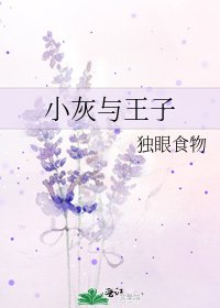 小灰与王子